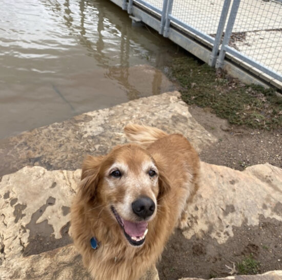 Hal guarding his favorite swimming spot in the Park