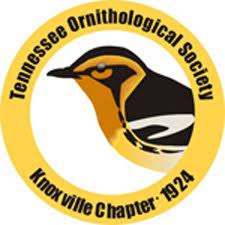 Knoxville Birding Group Logo